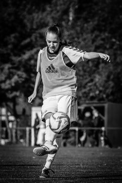 Bild 2807 - B-Juniorinnen SV Henstedt Ulzburg - SG Weststeinburg : Ergebnis: 4:0